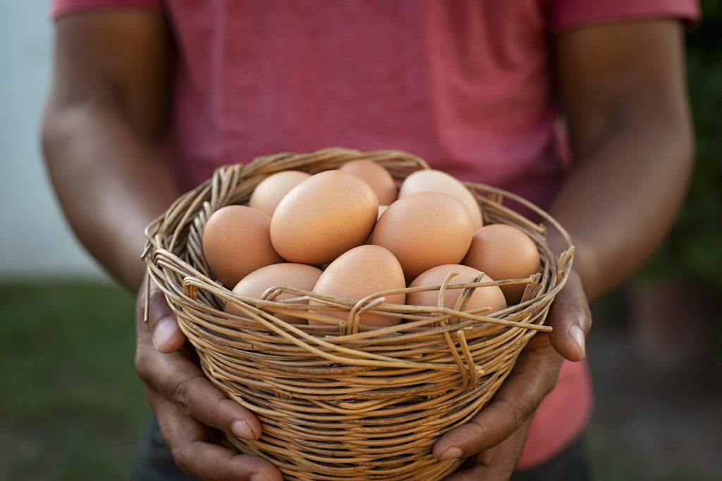 basket-of-eggs