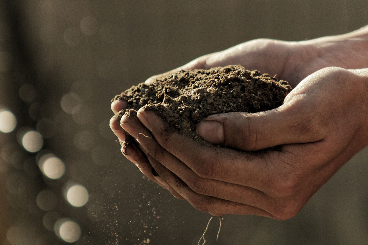 hands-with-dirt